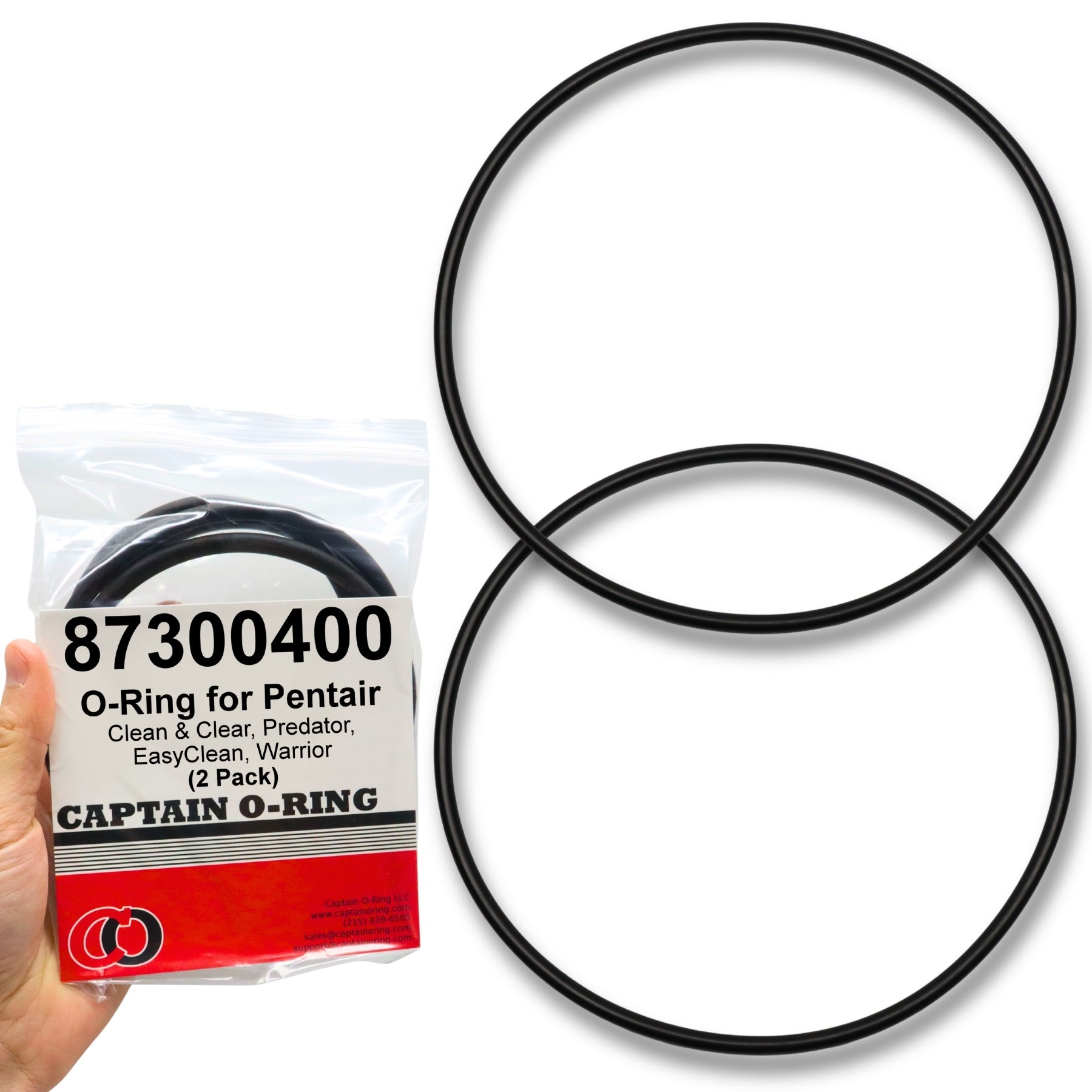 R172009 O-Ring For Pentair odel 300/320 Pool and Spa Chlorinator Lid