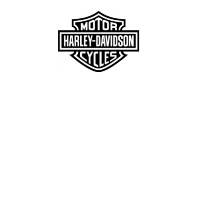 Harley Davidson O-Rings