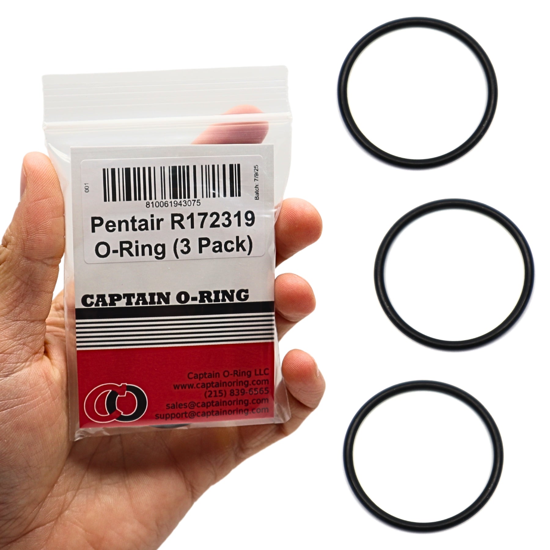 R172319 Bottom O-Rings for Pentair Rainbow 320 / 322 Feeder (3 Pack)