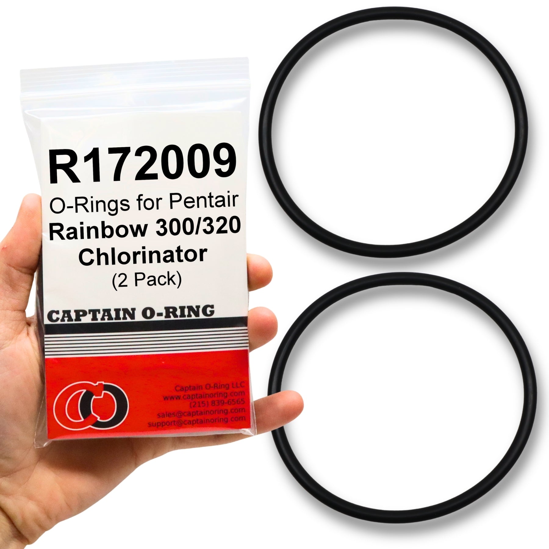R172009 O-Rings for Pentair Rainbow Chlorinator (2 Pack)