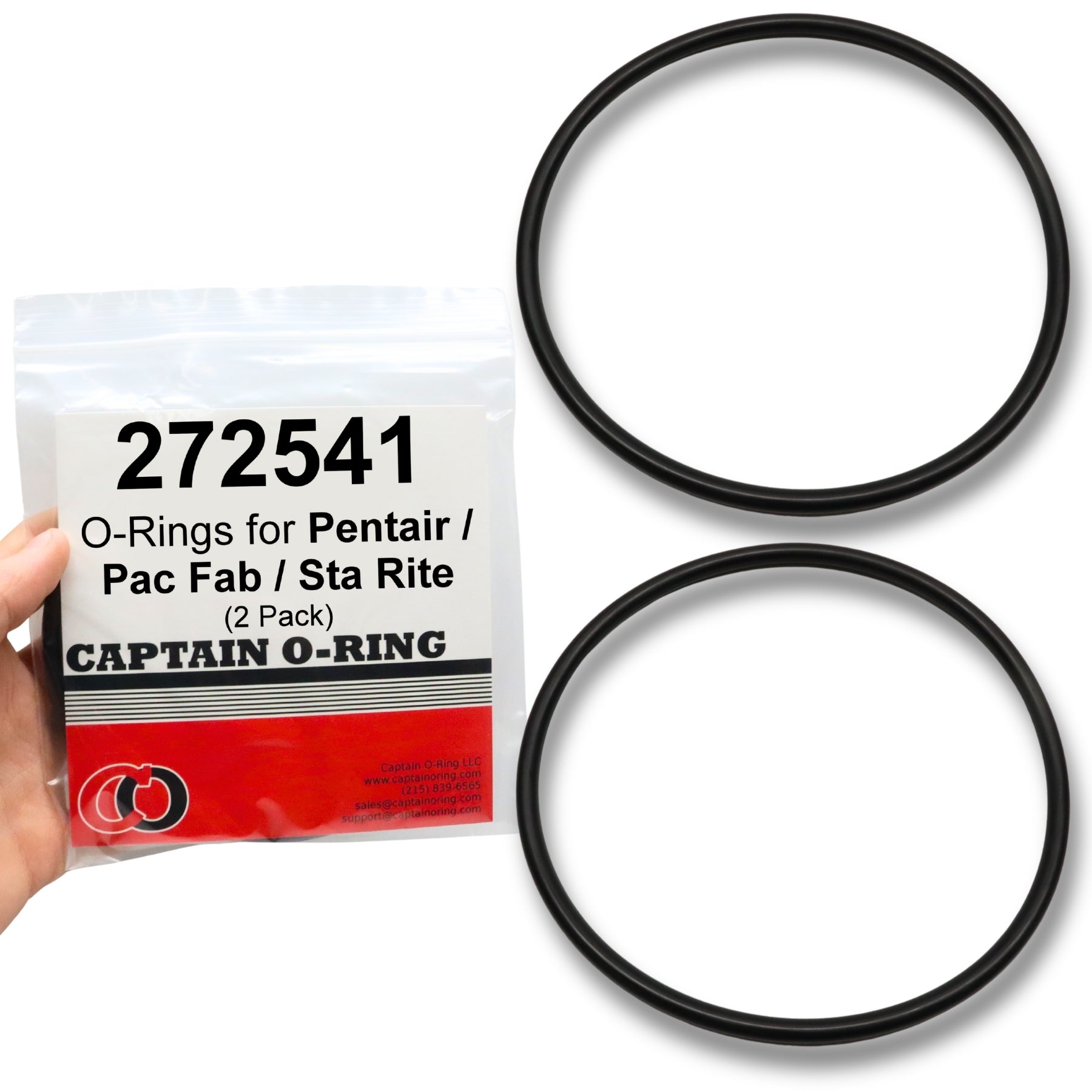 272541 O-Ring for Pentair Pool/Spa Filter and Valve (2 Pack)