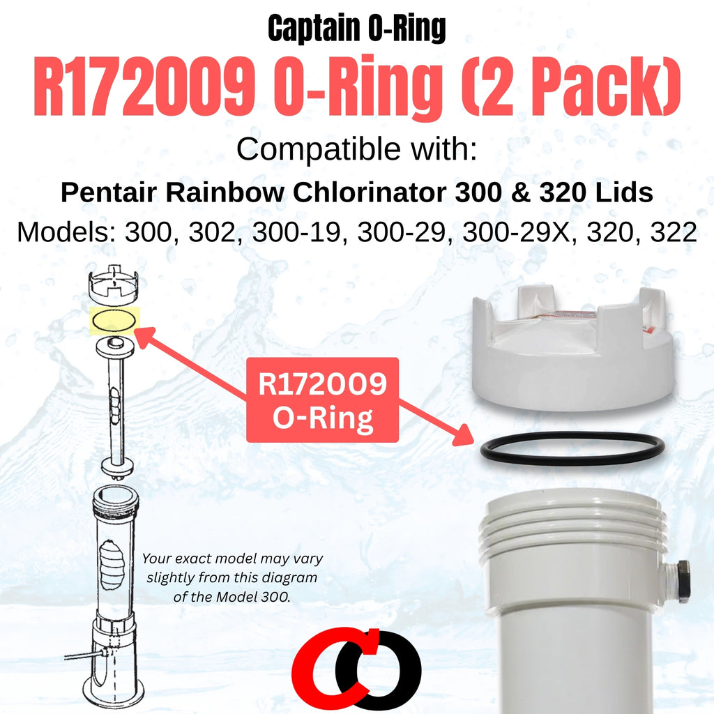 R172009 O-Rings for Pentair Rainbow Chlorinator (2 Pack)