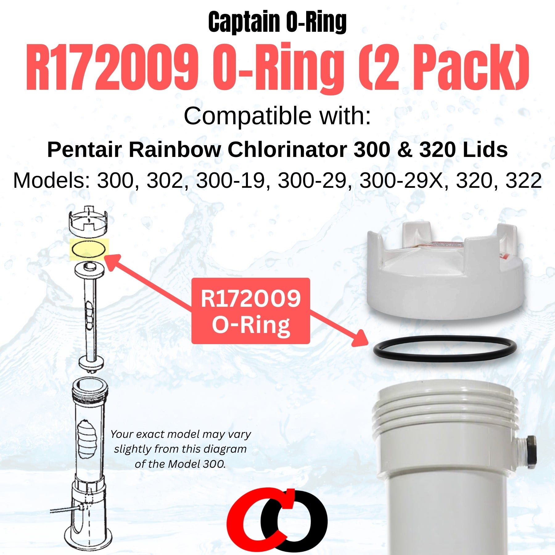 R172009 O-Rings for Pentair Rainbow Chlorinator (2 Pack)
