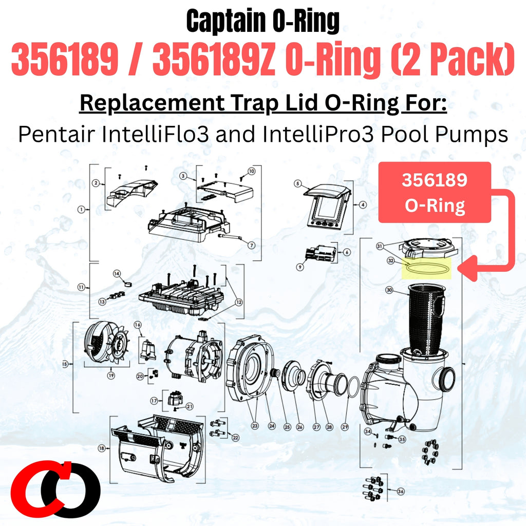 356189 356189Z Trap Lid O-Ring for Pentair IF3/IP3 VSF (2 Pack) – Intelliflo3 Intellipro3