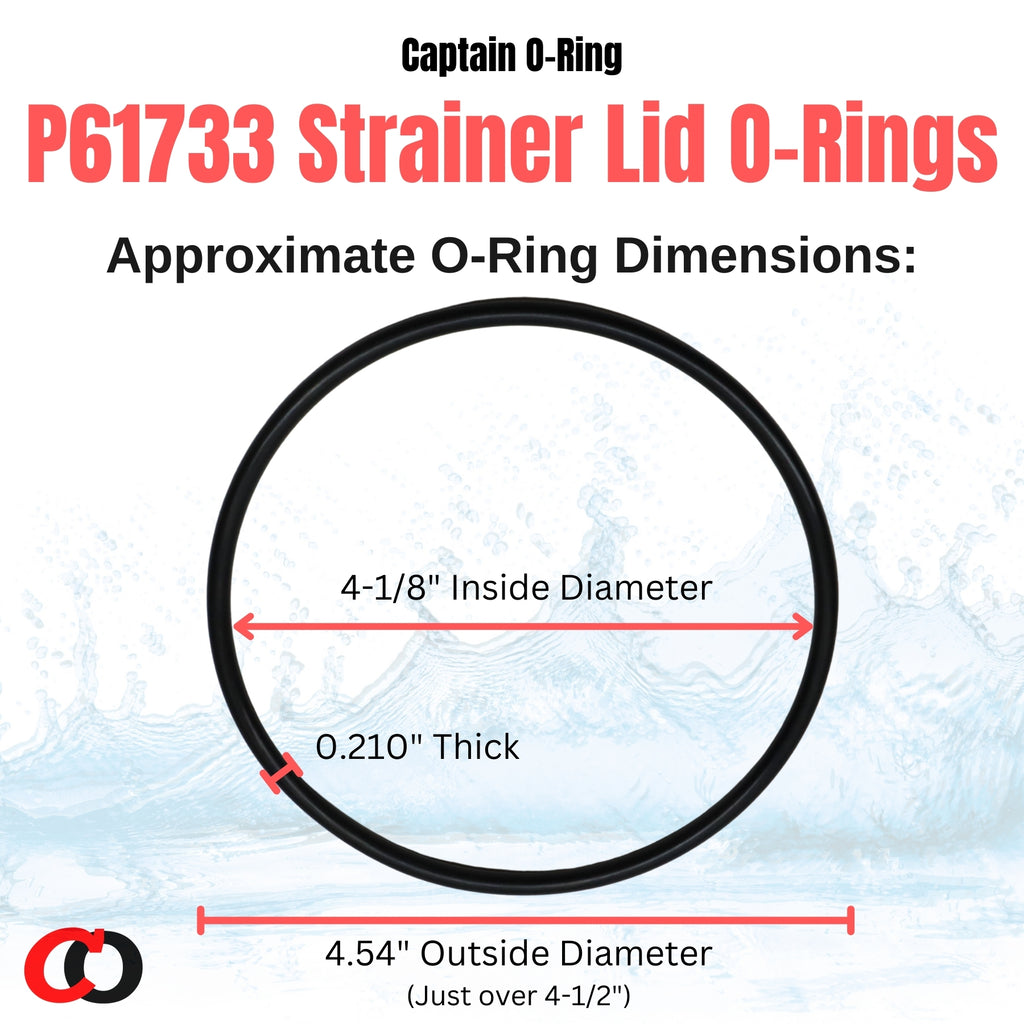 P6118 (P6118ASS16) Cover Cap O-Ring for Bestway 58381, 58145, 58382, 58144, 58146 Filter Pump (2 Pack)