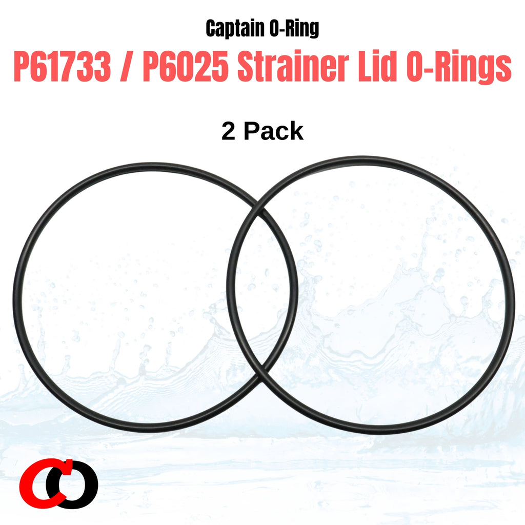 P61733/P6025 O-Ring for Bestway Flowclear Filter Pumps (2 Pack, P61733ASS18 / P6025ASS16)