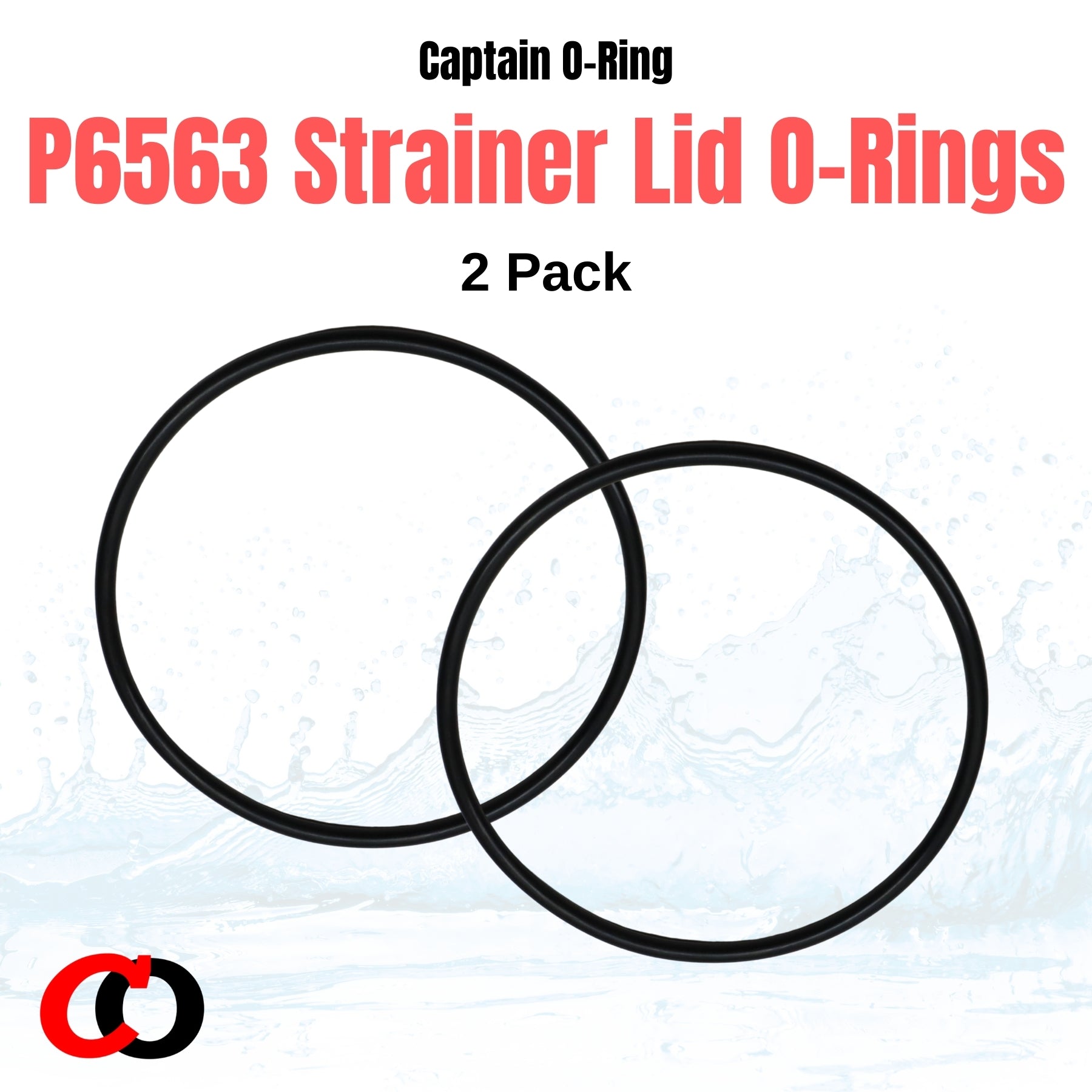 P6119 (P6119ASS16) O-Ring for Bestway Flowclear Pump Filter Cap Cover (2 Pack)