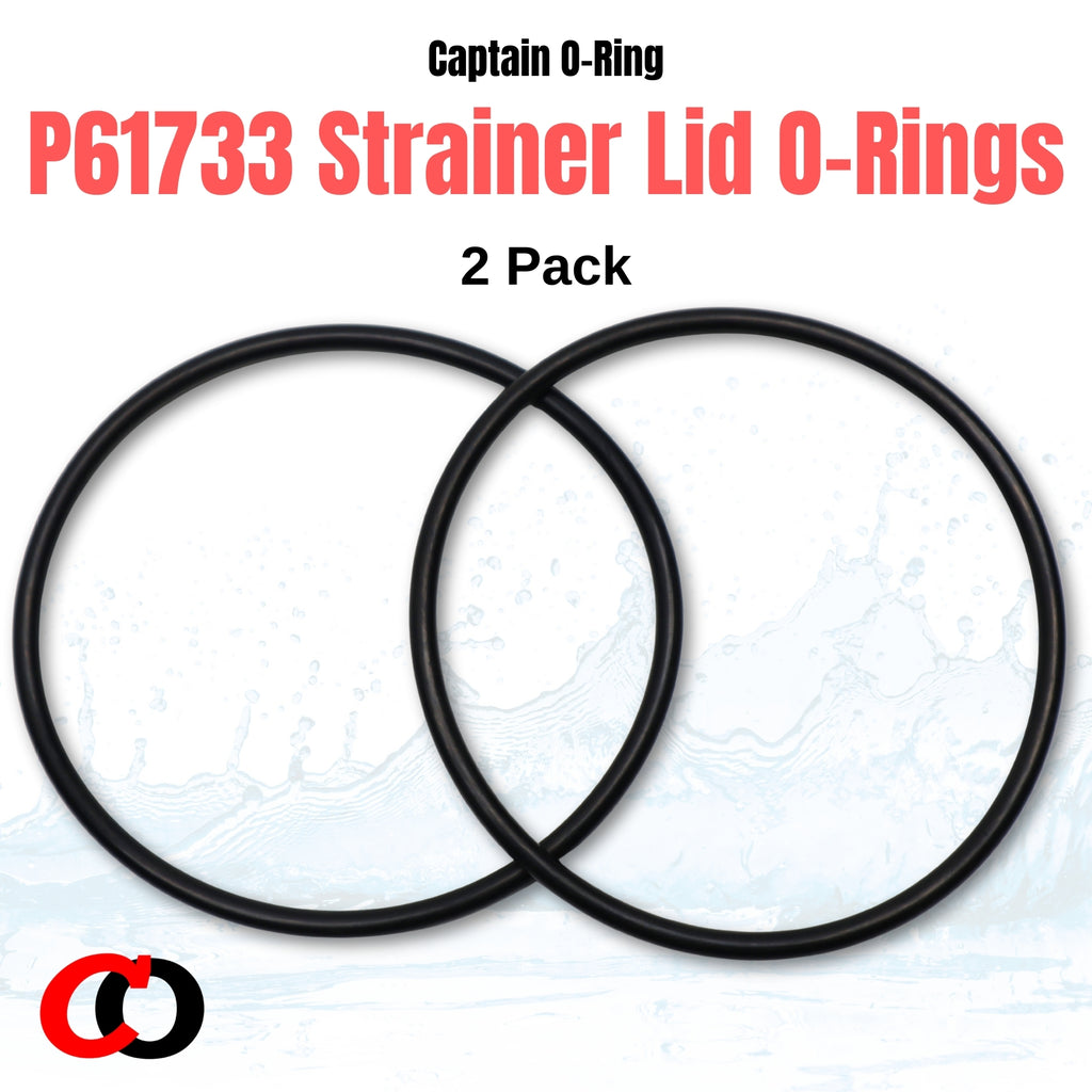 P6118 (P6118ASS16) Cover Cap O-Ring for Bestway 58381, 58145, 58382, 58144, 58146 Filter Pump (2 Pack)