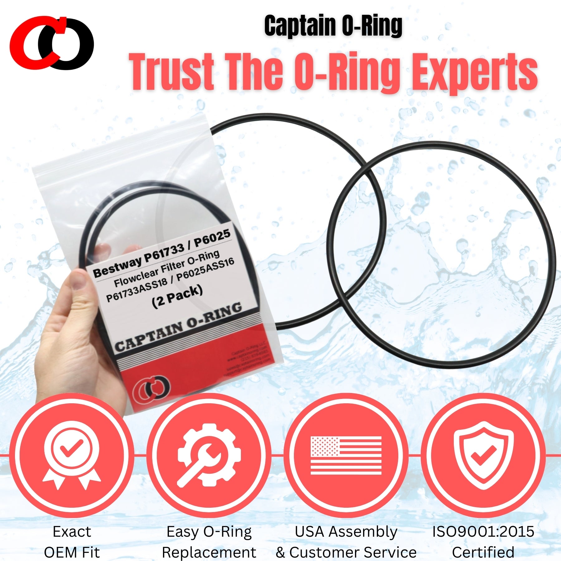 P61733/P6025 O-Ring for Bestway Flowclear Filter Pumps (2 Pack, P61733ASS18 / P6025ASS16)