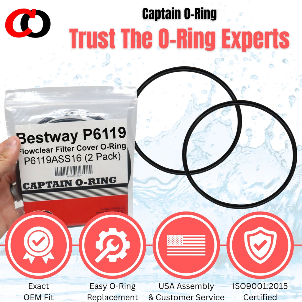 P6119 (P6119ASS16) O-Ring for Bestway Flowclear Pump Filter Cap Cover (2 Pack)