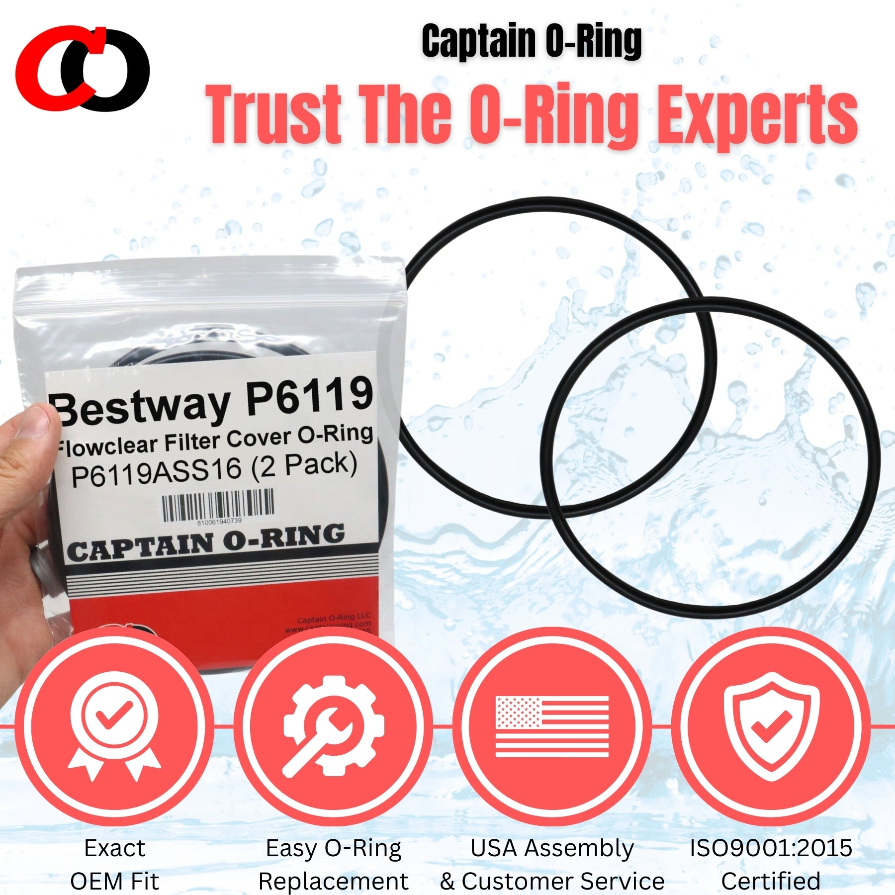 P6119 (P6119ASS16) O-Ring for Bestway Flowclear Pump Filter Cap Cover (2 Pack)