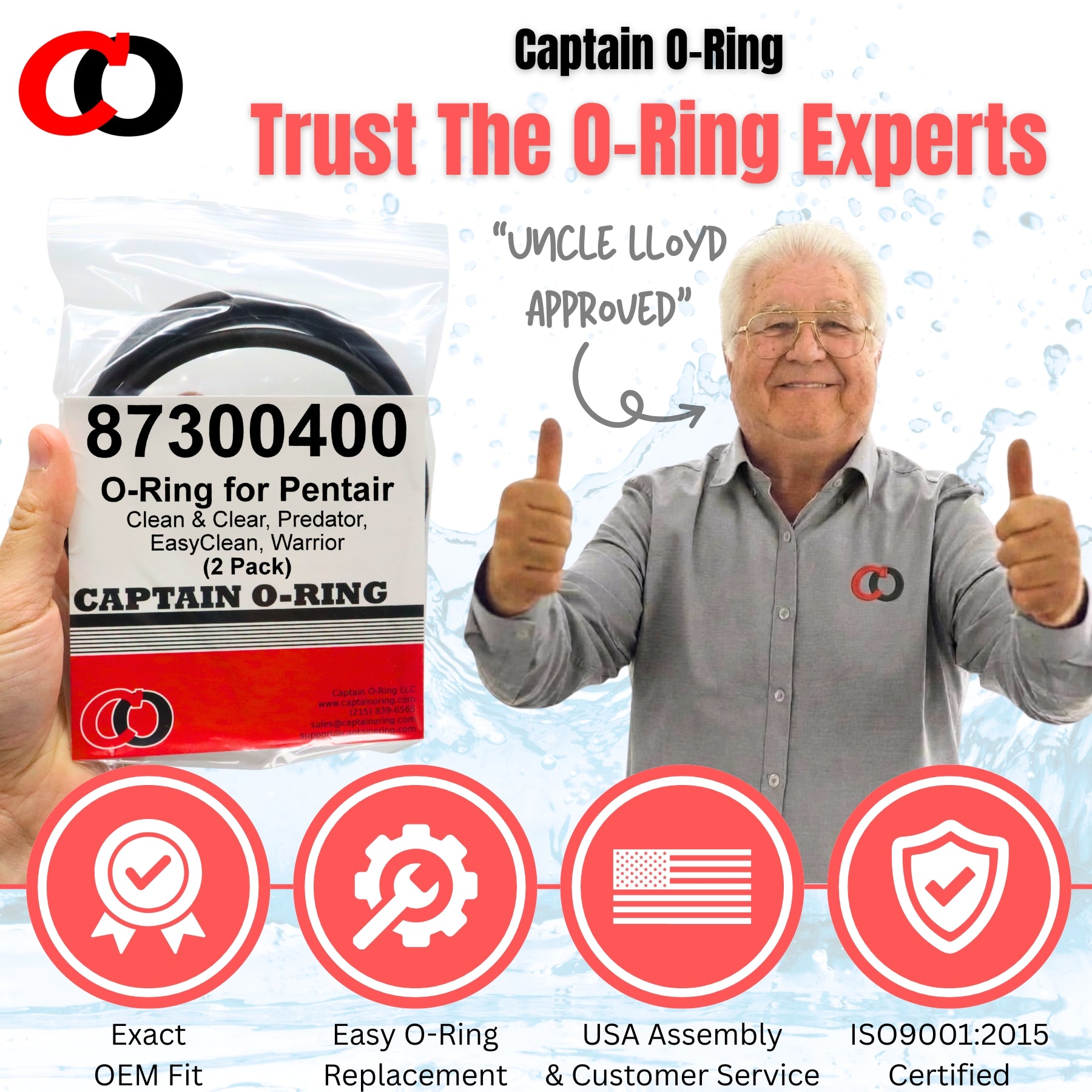 87300400 O-Ring for Pentair Clean & Clear, Predator, EasyClean and Warrior Filter Tank Body (2 Pack)