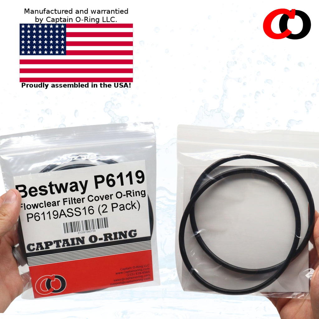 P6119 (P6119ASS16) O-Ring for Bestway Flowclear Pump Filter Cap Cover (2 Pack)