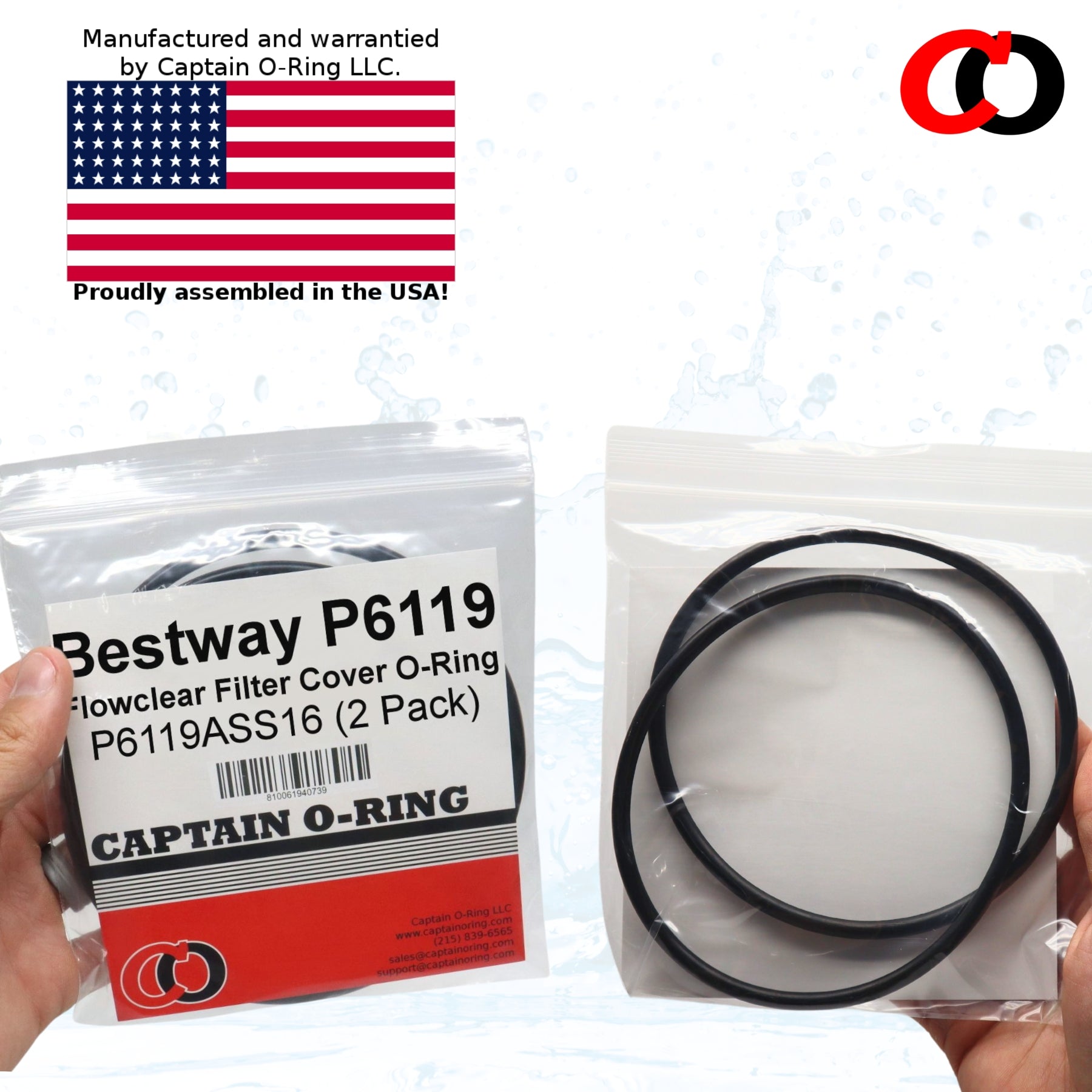 P6119 (P6119ASS16) O-Ring for Bestway Flowclear Pump Filter Cap Cover (2 Pack)