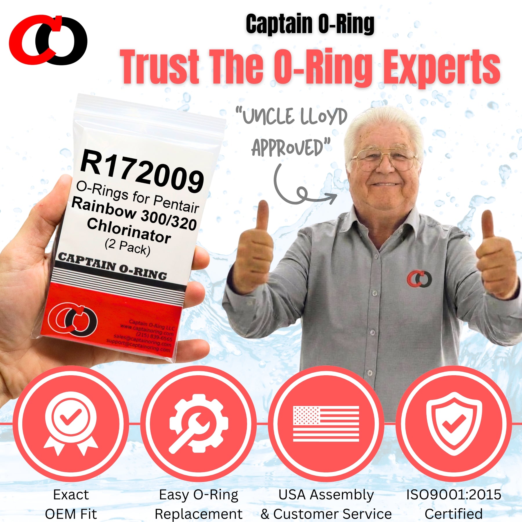 R172009 O-Rings for Pentair Rainbow Chlorinator (2 Pack)