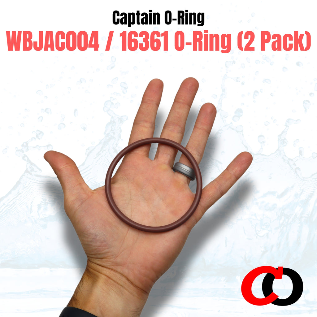 WBJAC004 16361 Lid O-Rings for Jacuzzi JAC50 JAC50i Chlorinator (2 Pack)