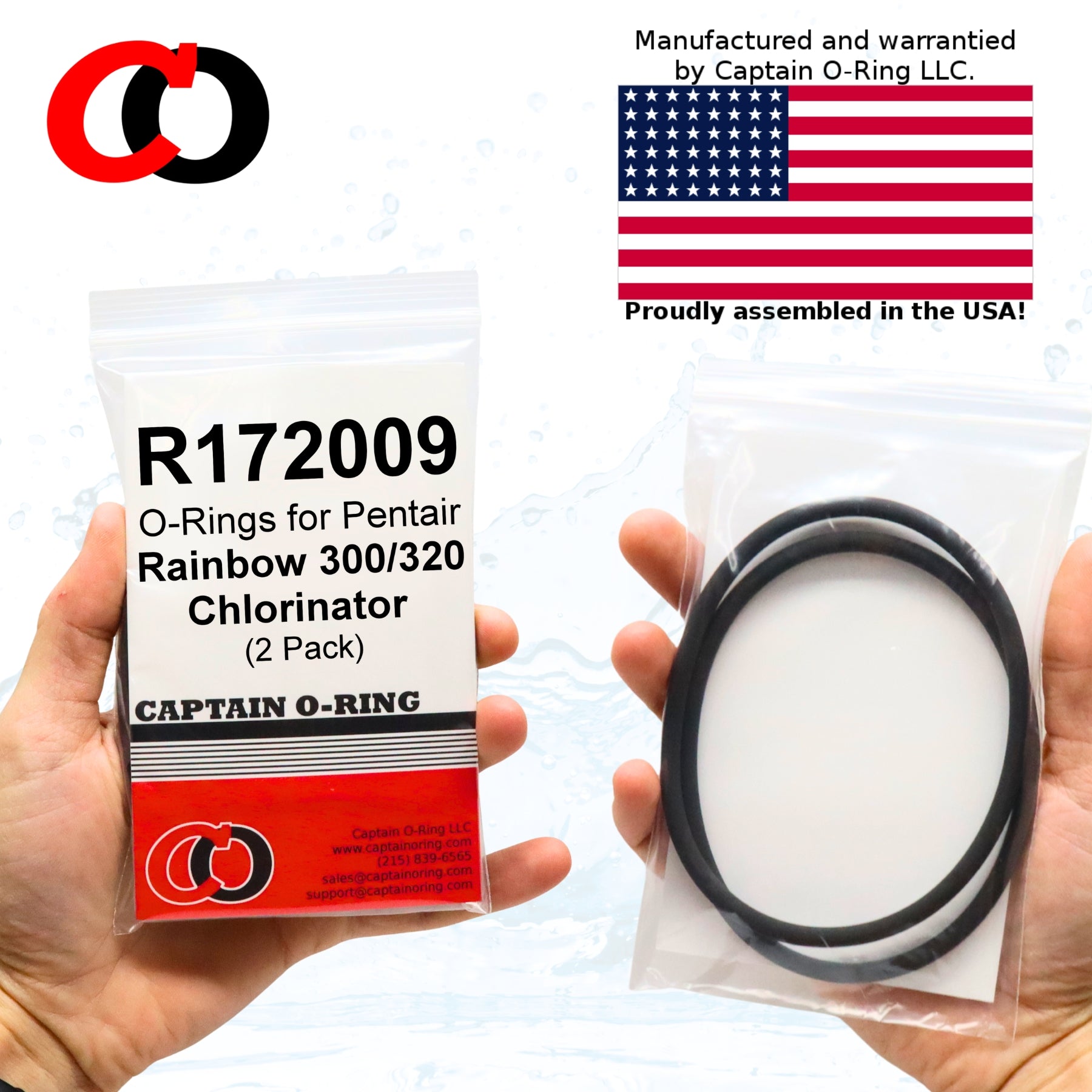 R172009 O-Rings for Pentair Rainbow Chlorinator (2 Pack)