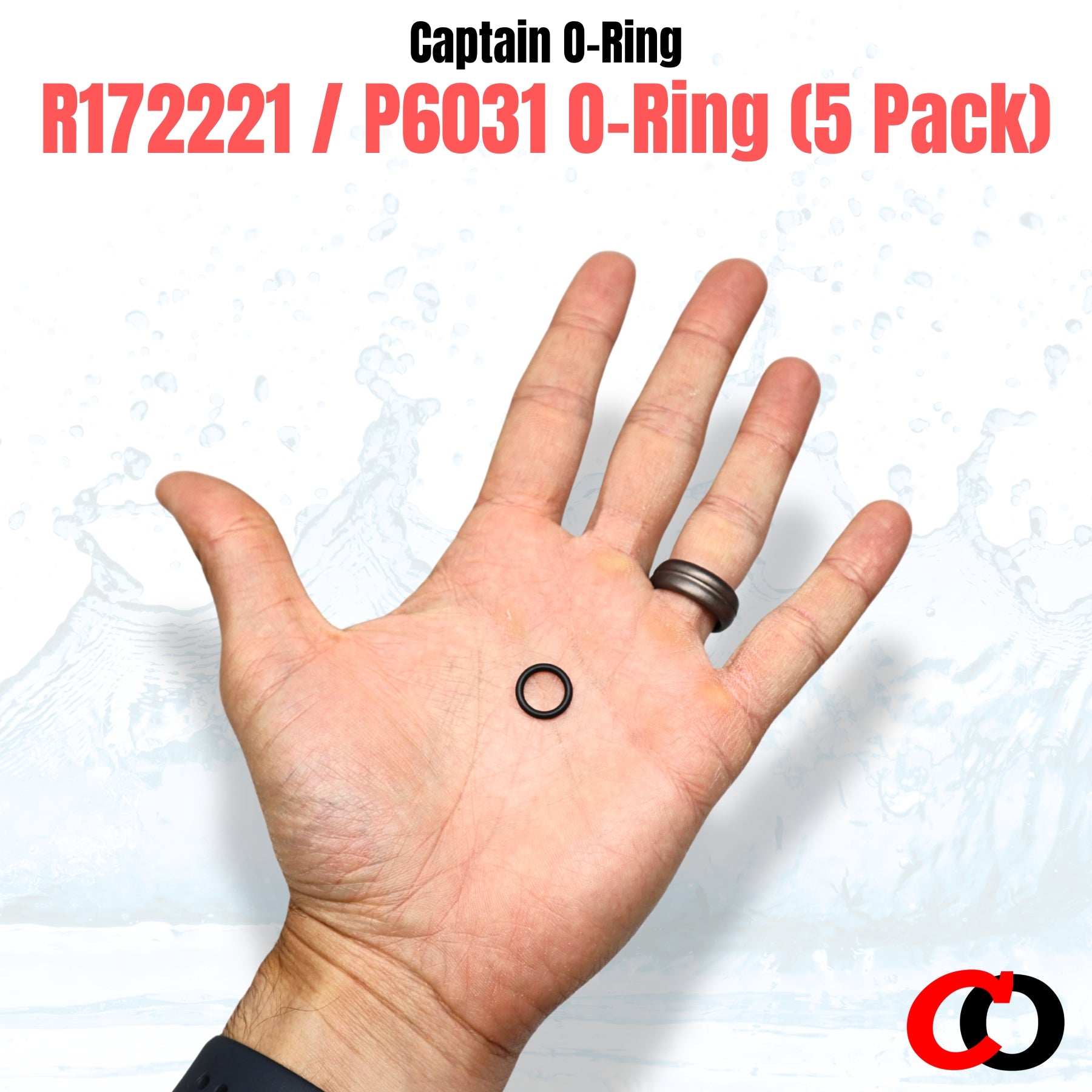 Captain O-Ring – Replacement R172221 / P6031 O-Rings for Pentair