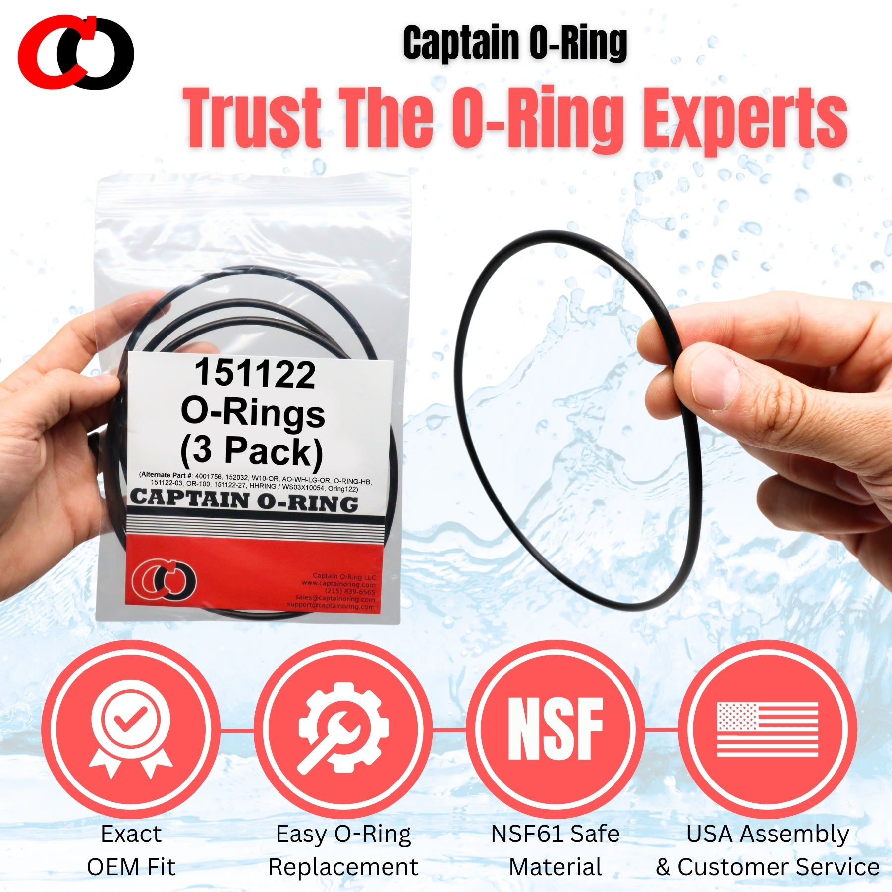Pentek Pentair 151122 / OR-100 (OEM Size) O-Rings [3 or 6 Pack]