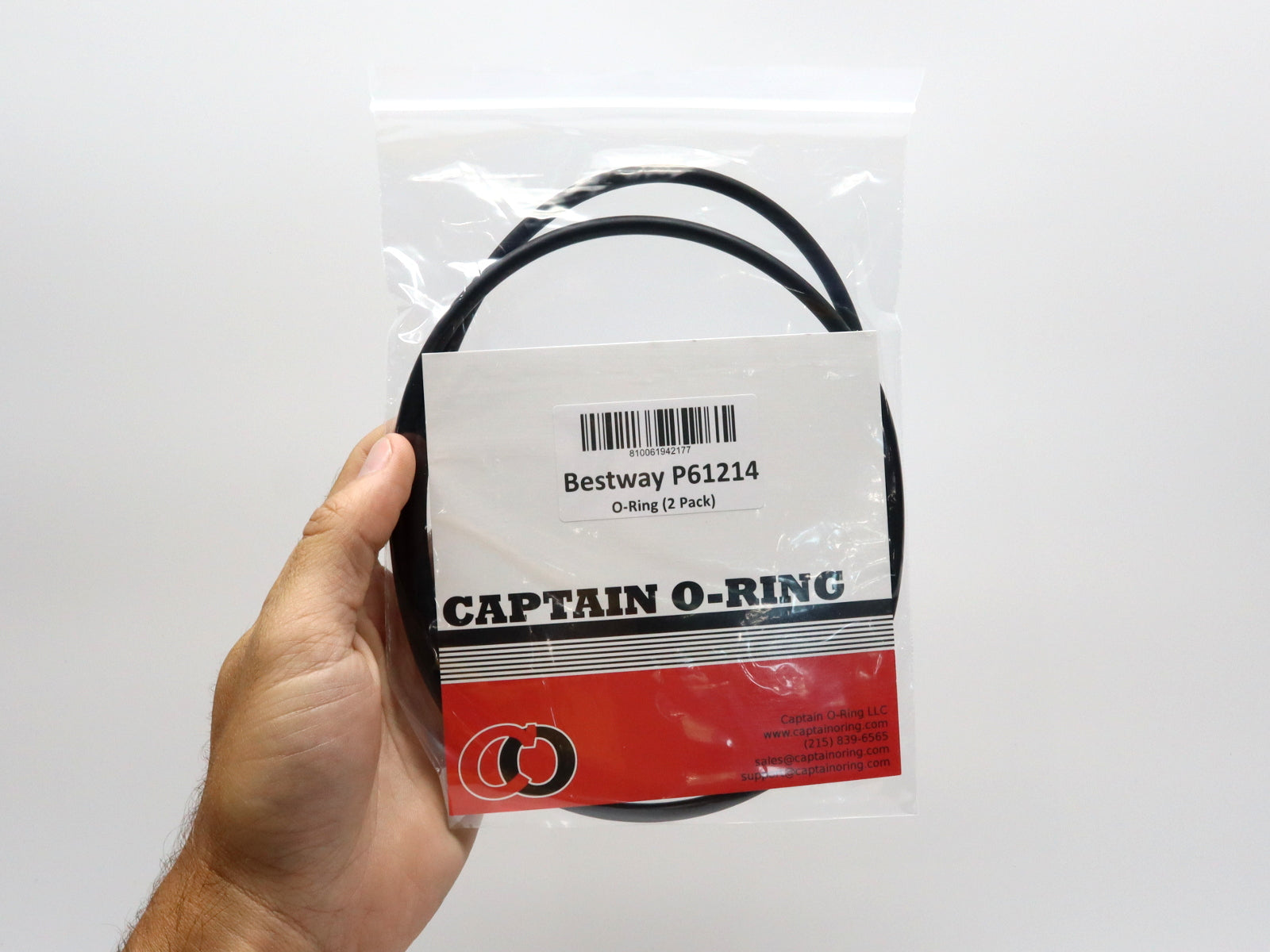 P61214 (P61214ASS16) Tank Seal Gasket O-Rings for Bestway Flowclear (2 Pack)