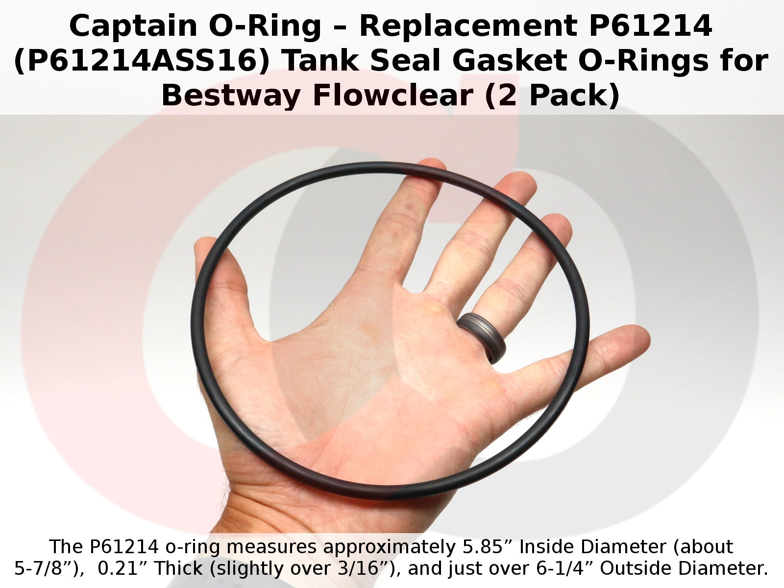 P61214 (P61214ASS16) Tank Seal Gasket O-Rings for Bestway Flowclear (2 Pack)
