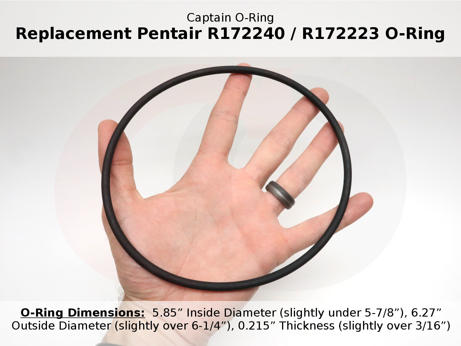 R172240 / R172223 O-Ring for Pentair(3 Pack)