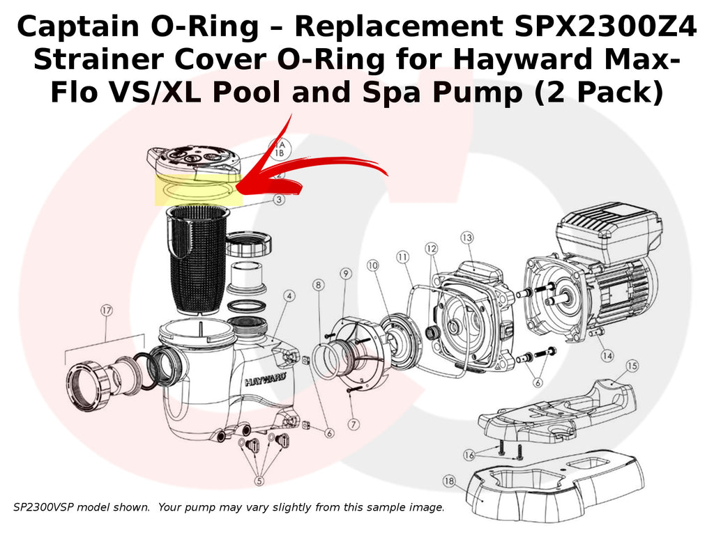 SPX2300Z4 Strainer Cover O-Ring for Hayward Max-Flo VS/XL Pump (2 Pack)