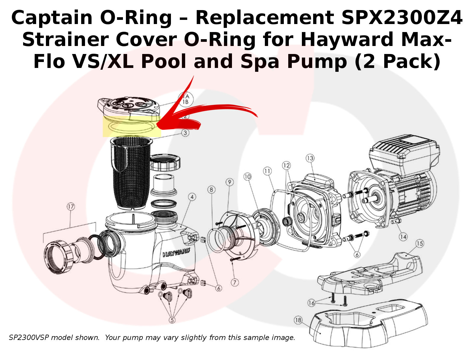 SPX2300Z4 Strainer Cover O-Ring for Hayward Max-Flo VS/XL Pump (2 Pack)